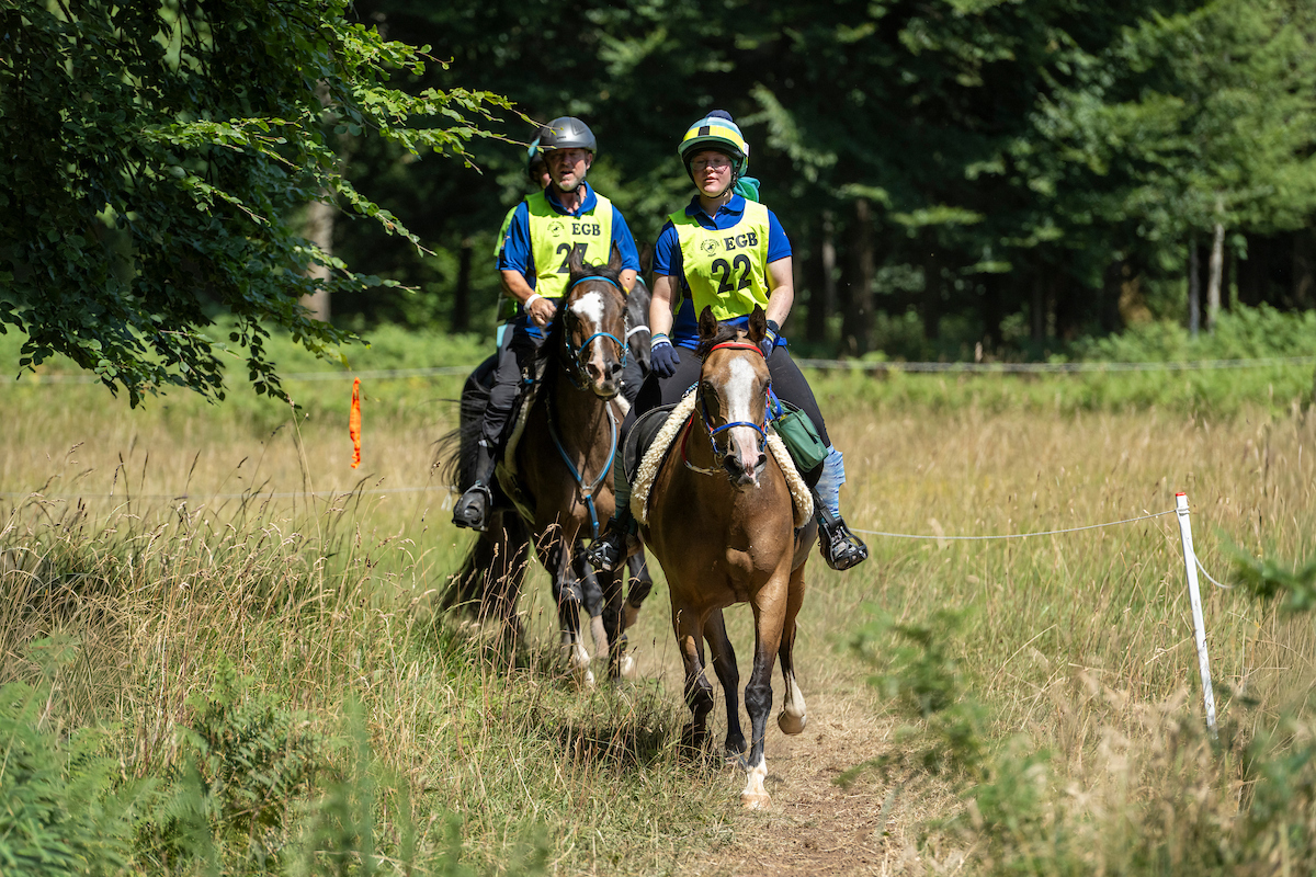 Two endurance riders on their ponies trotting through a grassy field.